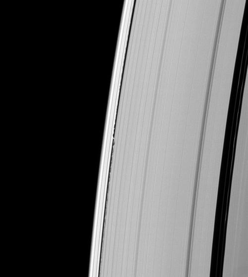 Saturn Waves from Daphnis
